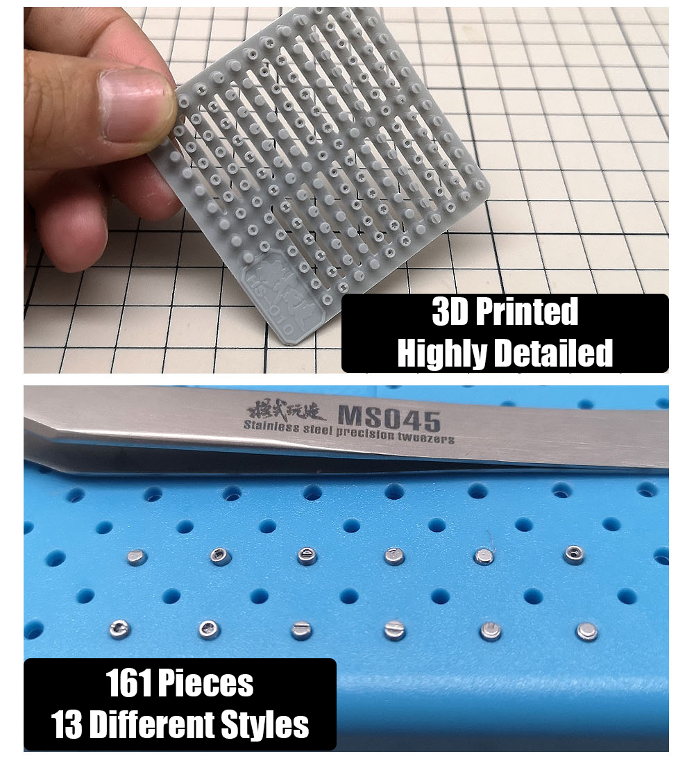MS Hobby HS010 3D Printed Details - Screws