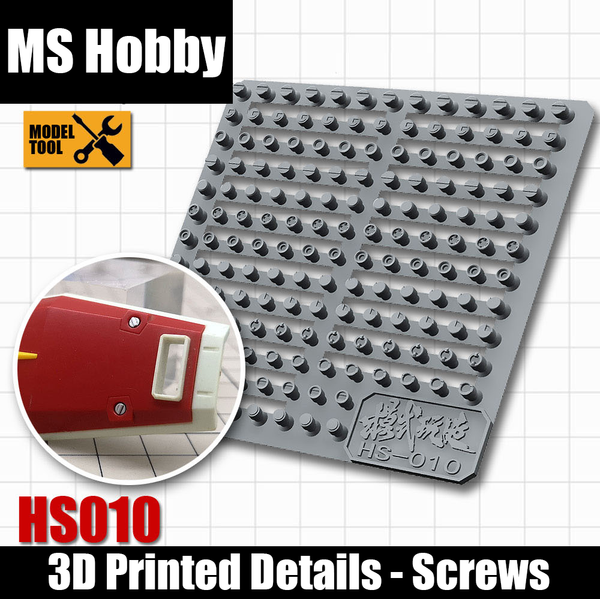 MS Hobby HS010 3D Printed Details - Screws